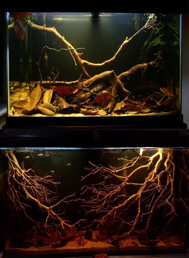 مركز المياه السوداء من أكواتيك ريميديز | يُنتج مياه غابات مطيرة طبيعية (120 مل) - Image 5